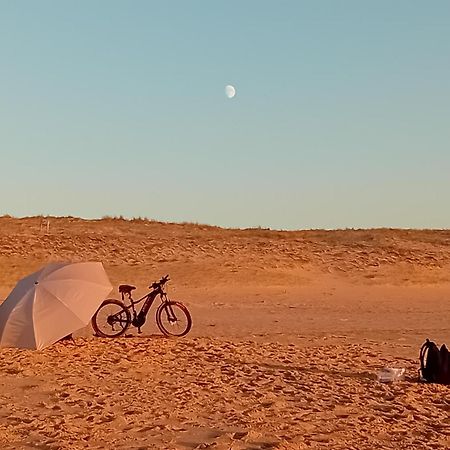 SEIGNOSSE PLAGES: Beau Studio équipé avec terrasse face aux dunes Exterior foto